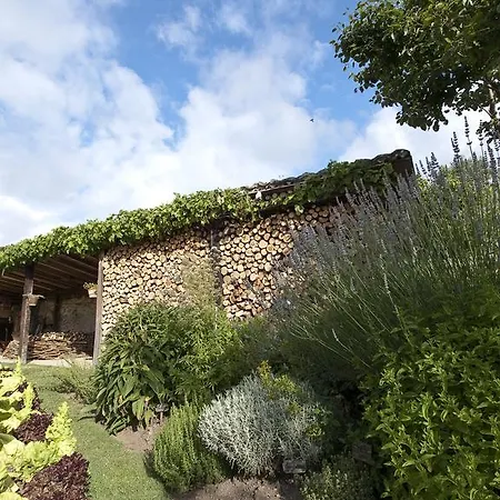 Отель Posada El Prado Mayor 4*