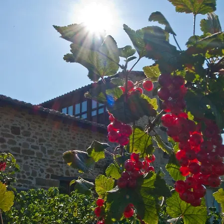 Posada El Prado Mayor Отель Кинтанилья-дель-Ребольяр